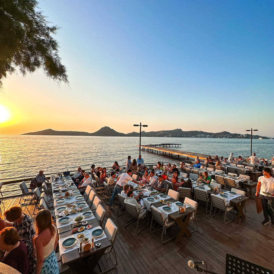 Mynos Restaurant BodrumYalıkavak,